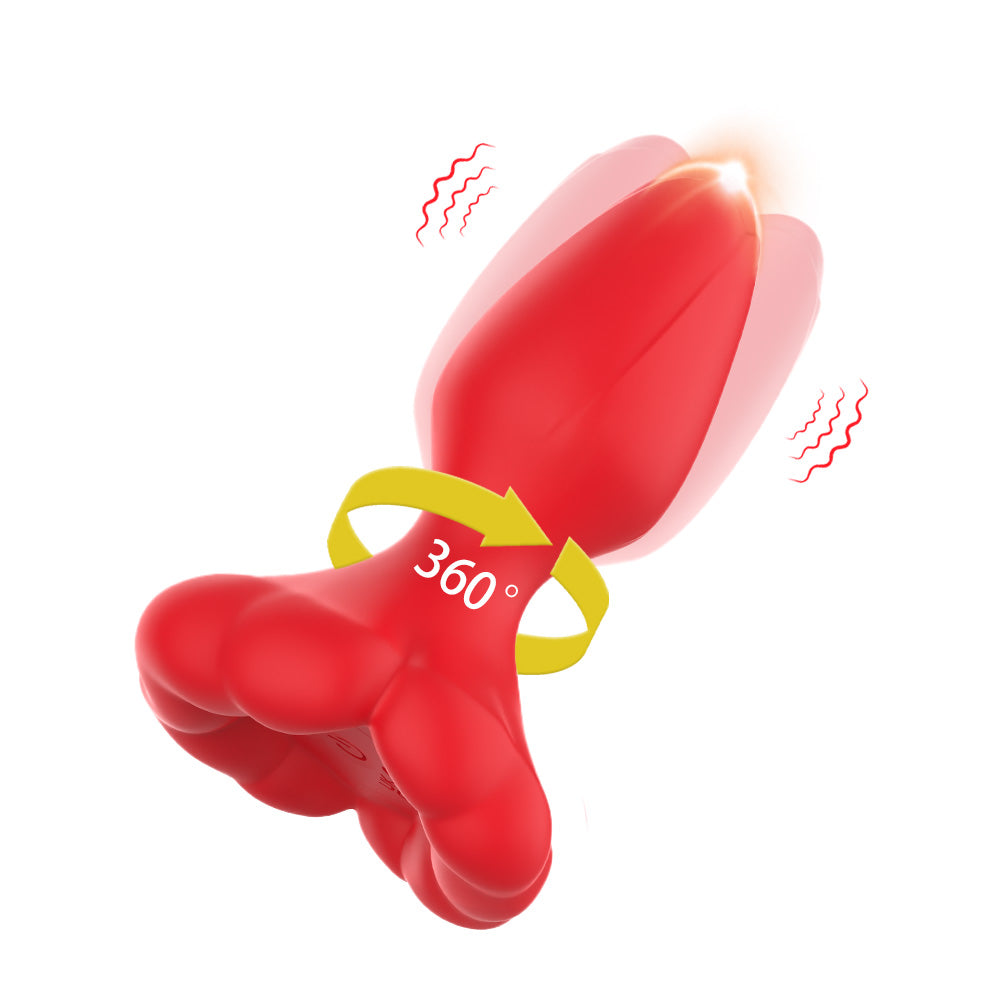 Butt Plug & Vibrator