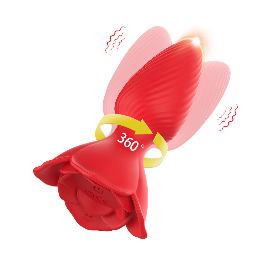 Anal Plug & Vibrators