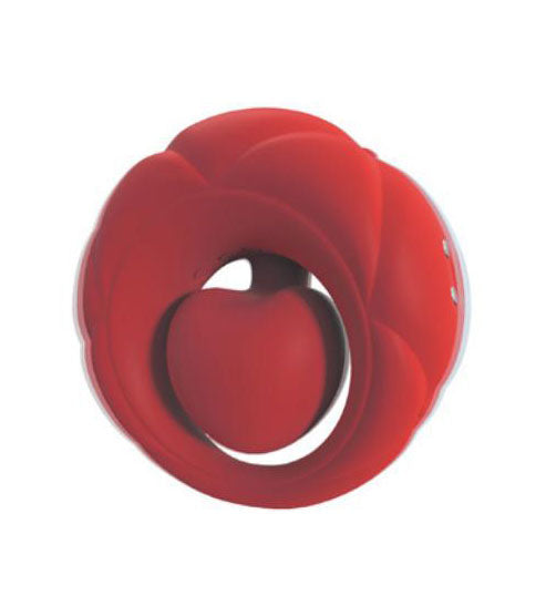 Cock Ring & Vibrator